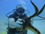 Hawaii Scuba divng 33