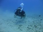 Hawaii Scuba divng 06