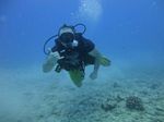 Hawaii Scuba divng 07