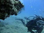 Hawaii Scuba divng 10