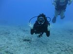 Hawaii Scuba divng 12