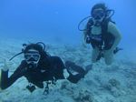 Hawaii Scuba divng 13