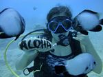 Hawaii Scuba divng 17