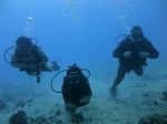 Hawaii Scuba divng 21