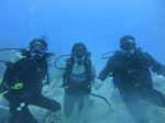 Hawaii Scuba divng 22