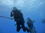 Hawaii Scuba divng 24