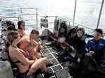 Hawaii Scuba divng 29