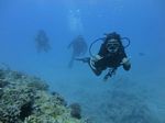 Hawaii Scuba divng 02