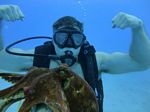 Hawaii Scuba divng 32