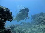 Hawaii Scuba divng 03