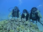 Hawaii Scuba divng 49