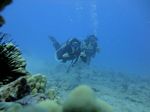 Hawaii Scuba divng 51