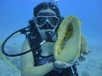 Hawaii Scuba divng 53