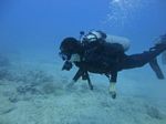 Hawaii Scuba divng 56