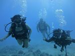 Hawaii Scuba divng 56