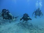 Hawaii Scuba divng 57