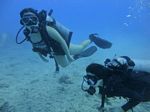 Hawaii Scuba divng 58