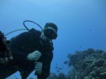 Hawaii Scuba divng 05