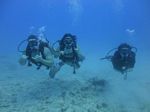 Hawaii Scuba divng 62