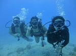 Hawaii Scuba divng 63