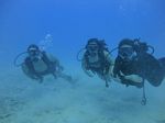 Hawaii Scuba divng 64