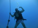 Hawaii Scuba divng 67