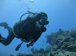 Hawaii Scuba divng 06