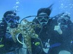 Hawaii Scuba divng 73