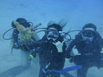 Hawaii Scuba divng 74