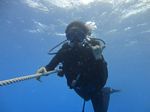 Hawaii Scuba divng 75