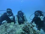 Hawaii Scuba divng 91