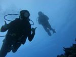 Hawaii Scuba divng 93