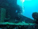 Hawaii Scuba divng 15