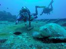 Hawaii Scuba divng 29