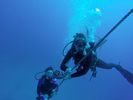 Hawaii Scuba divng 38