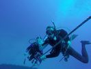 Hawaii Scuba divng 39