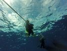 Hawaii Scuba divng 03