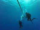 Hawaii Scuba divng 41