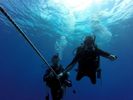 Hawaii Scuba divng 42