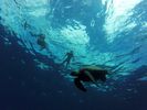 Hawaii Scuba divng 47