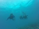 Hawaii Scuba divng 63