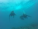 Hawaii Scuba divng 64