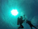 Hawaii Scuba divng 06