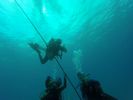 Hawaii Scuba divng 70