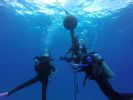 Hawaii Scuba divng 73