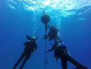 Hawaii Scuba divng 74