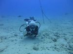 Hawaii Scuba divng 11