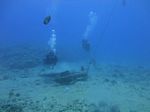 Hawaii Scuba divng 21