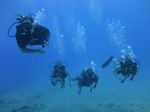 Hawaii Scuba divng 23