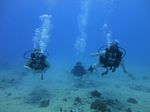 Hawaii Scuba divng 24